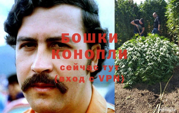 тгк Богданович