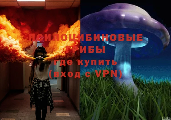 тгк Богданович
