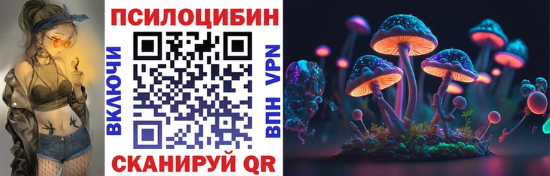 Галлюциногенные грибы Psilocybine cubensis  Александровское 